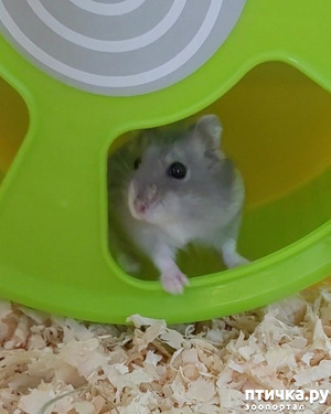 :    