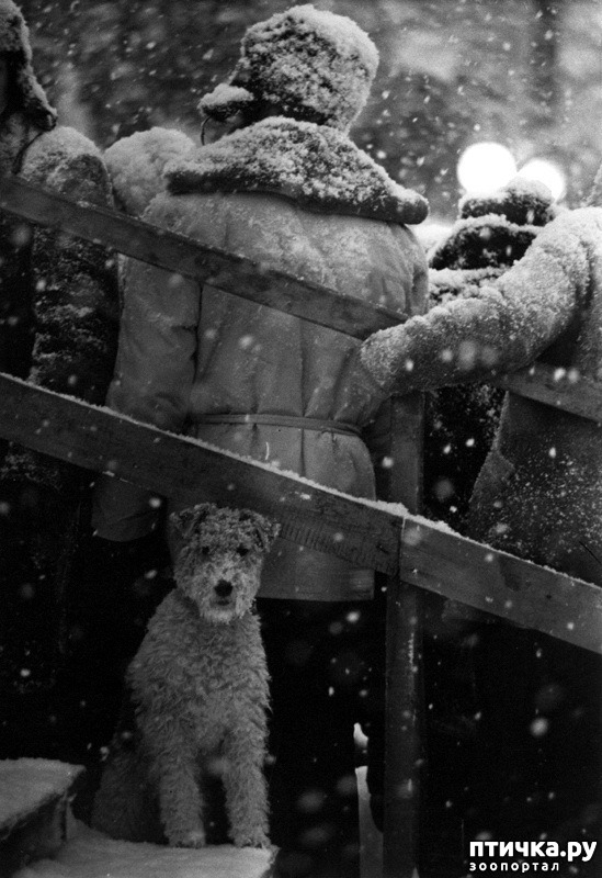 2:  