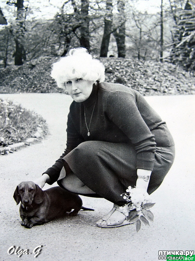  9:  