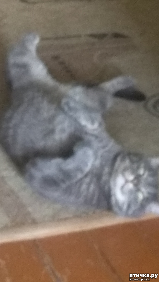  1:           