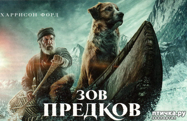  4:   