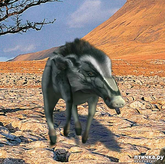  4:   