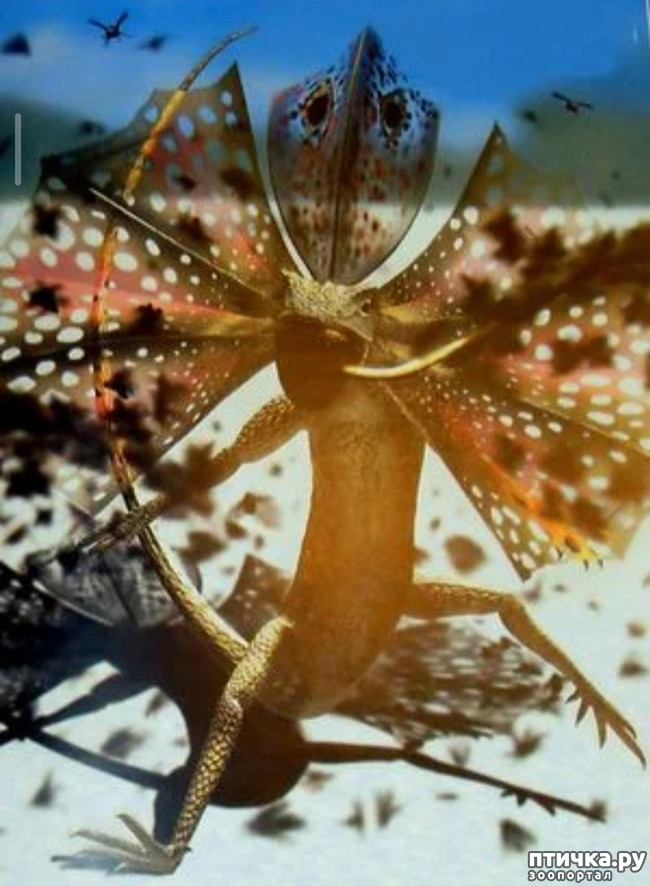  3:   