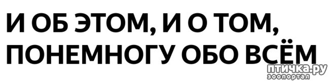  1:   ,   ,   Ѩ