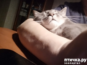 : )))