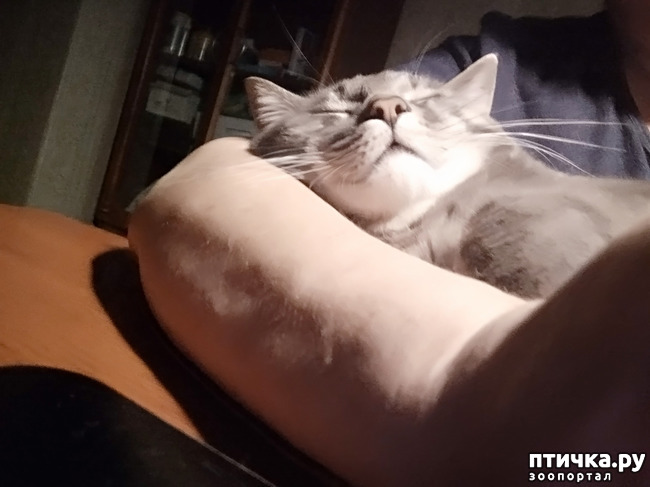  1: )))