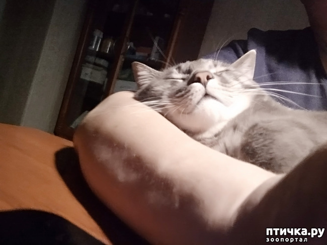  2: )))