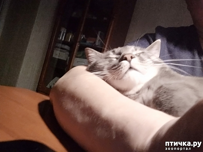 3: )))