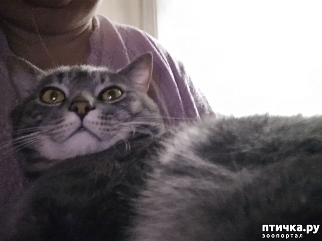  1:  ))