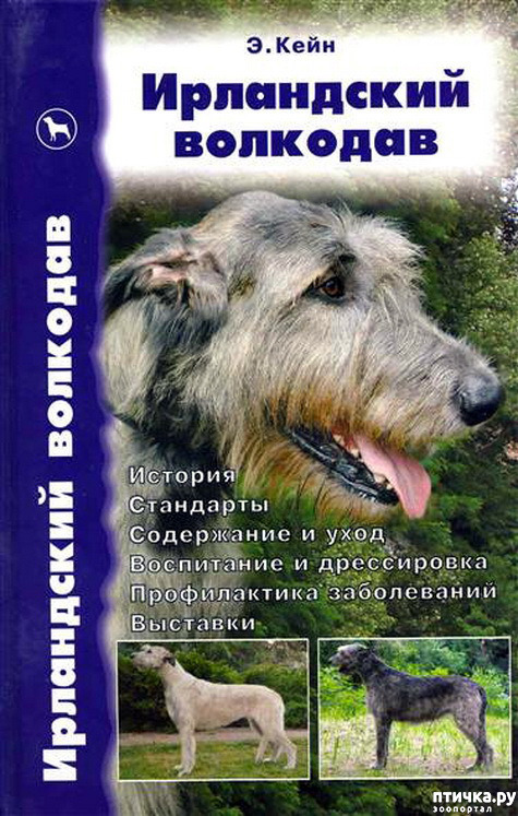  8: 
