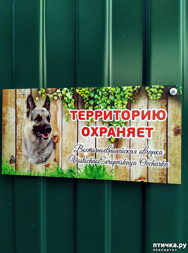  16: 