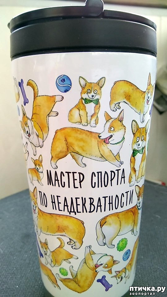 17: 
