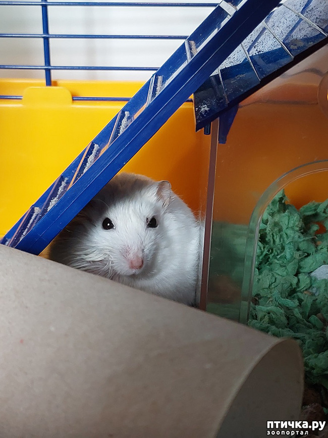  2:    ! :)