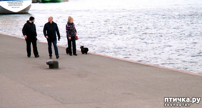 ���� 1: ��������� �������