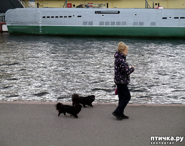 ���� 2: ��������� �������