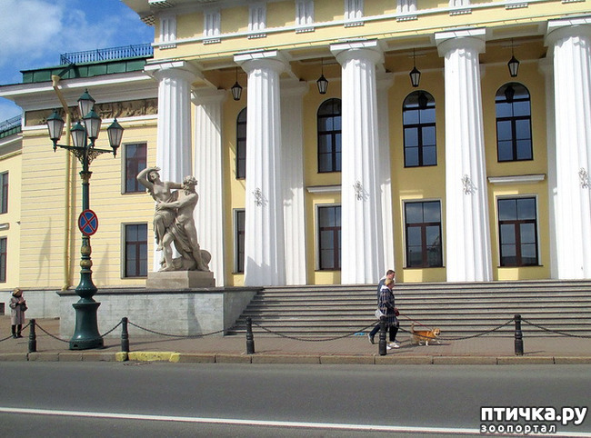 ���� 3: ��������� �������