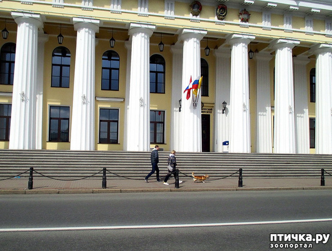 ���� 4: ��������� �������