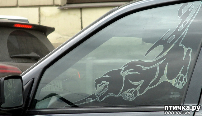 ���� 5: ��������� �������