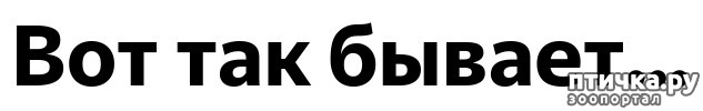  1:   ...