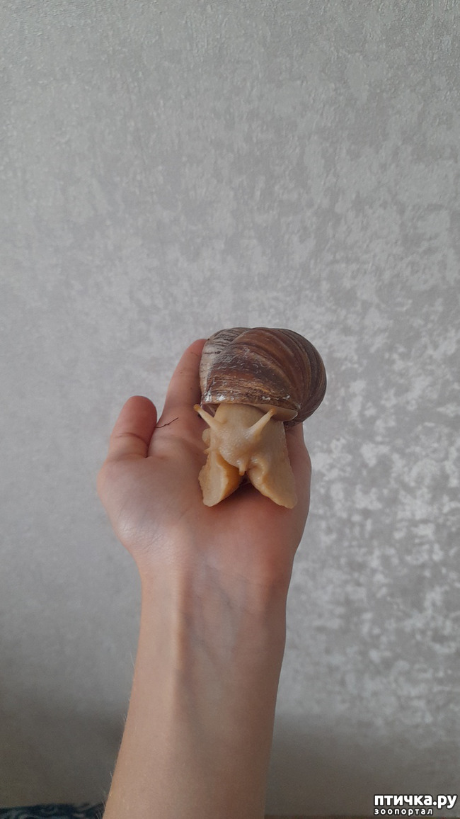  1:  