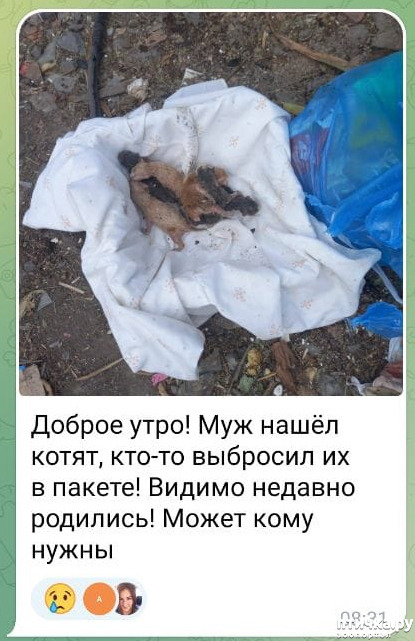 фото 1: История с хорошим концом