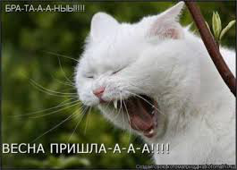 фото 1: 1 МАРТА - К СВИДАНИЮ ГОТОВЫ!!!