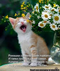 фото 9: 1 МАРТА - К СВИДАНИЮ ГОТОВЫ!!!