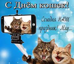 фото 3: 1 МАРТА - К СВИДАНИЮ ГОТОВЫ!!!