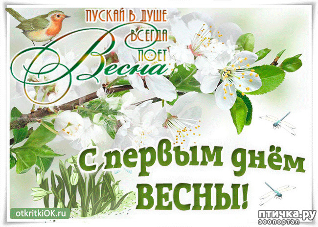 фото 24: 1 МАРТА - К СВИДАНИЮ ГОТОВЫ!!!