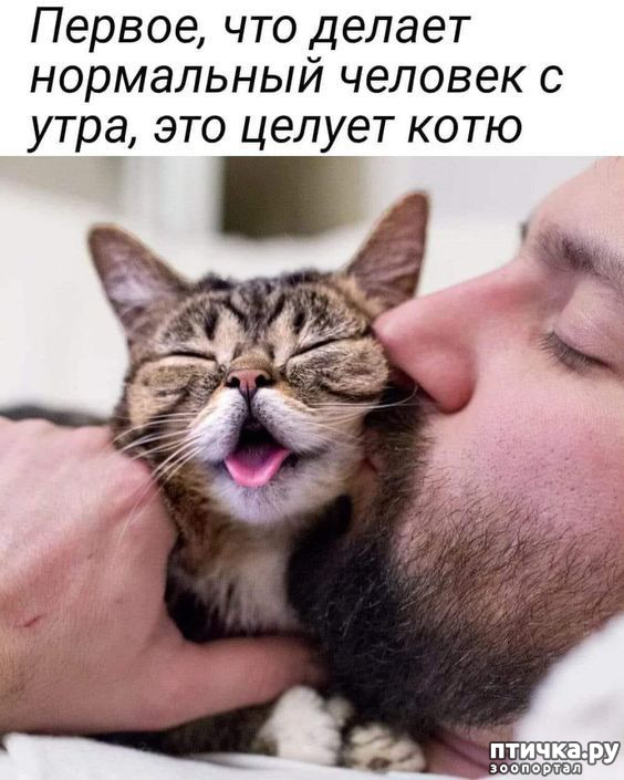  1: 