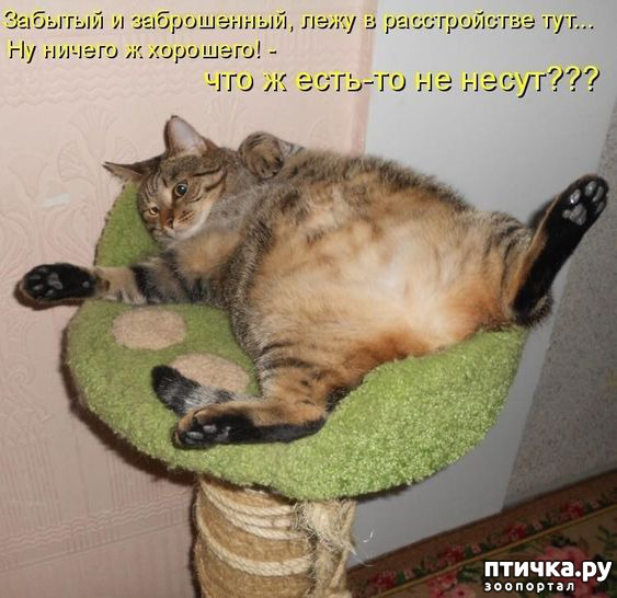  4: 