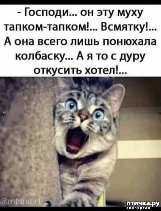  7: 