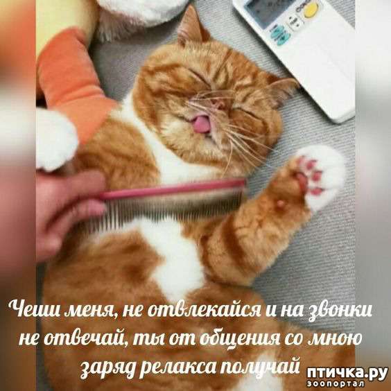  8: 