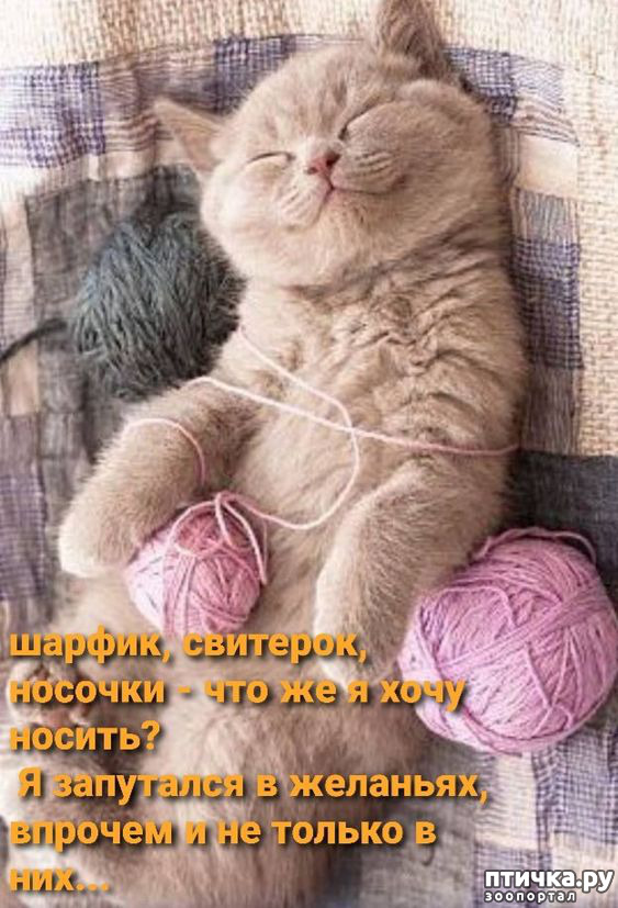  9: 