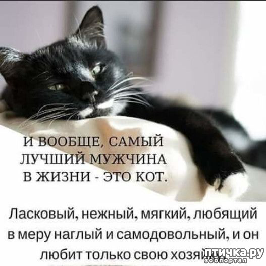  13: 