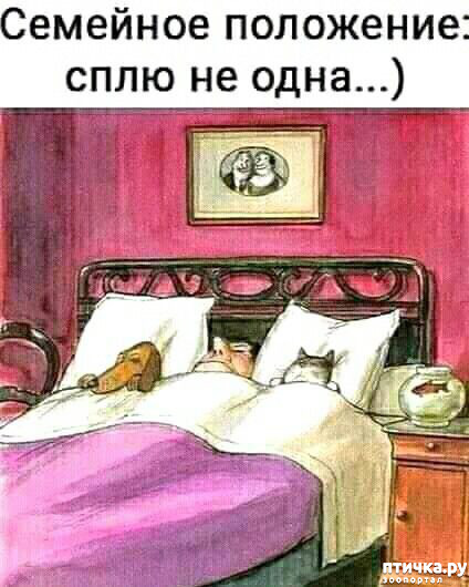  16: 