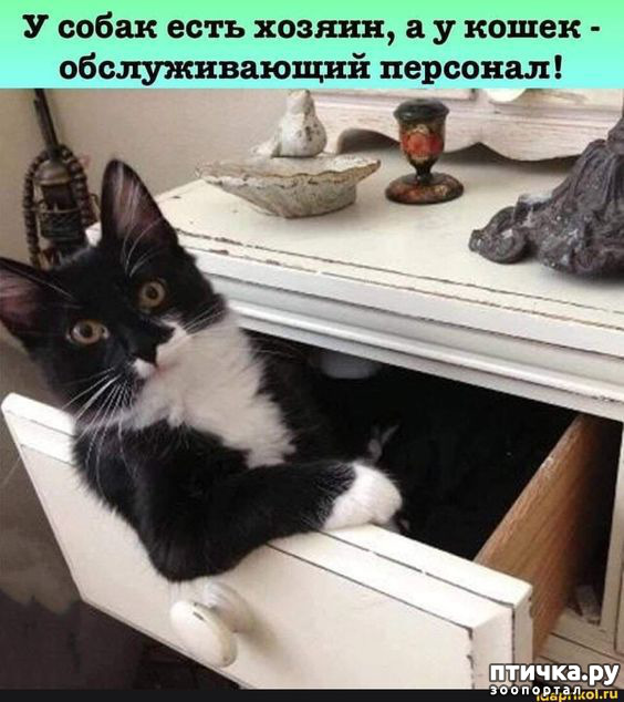  17: 