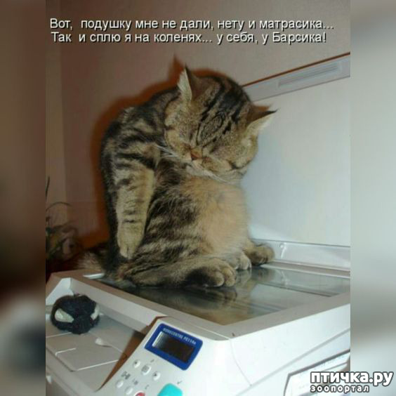  18: 