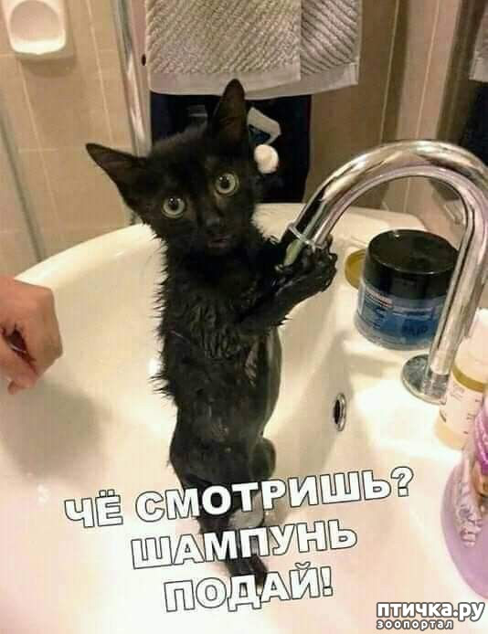  19: 