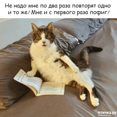  21: 