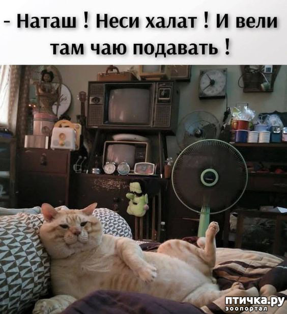  22: 