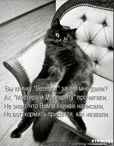  23: 