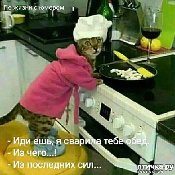  26: 