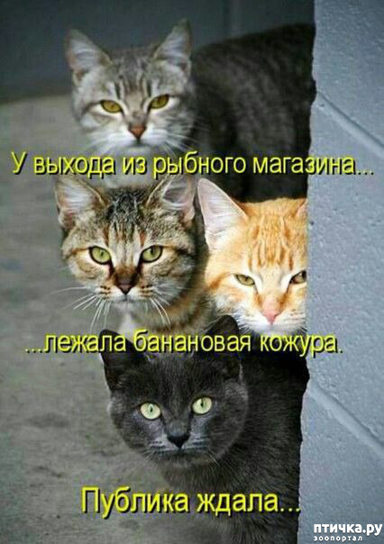  27: 