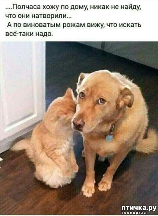  29: 