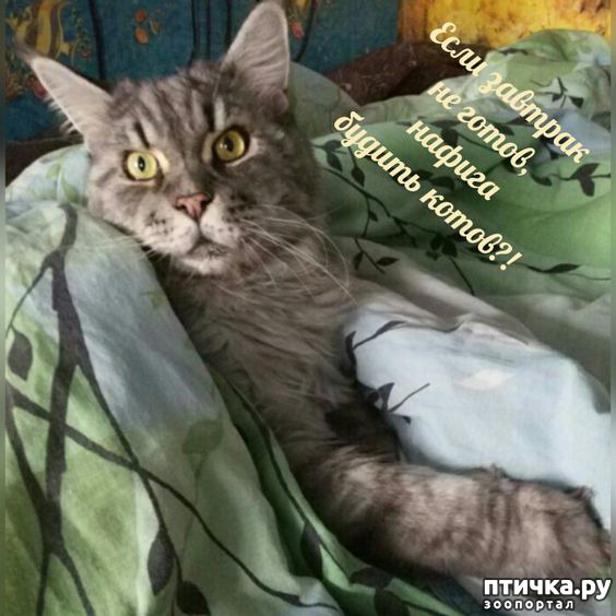  30: 