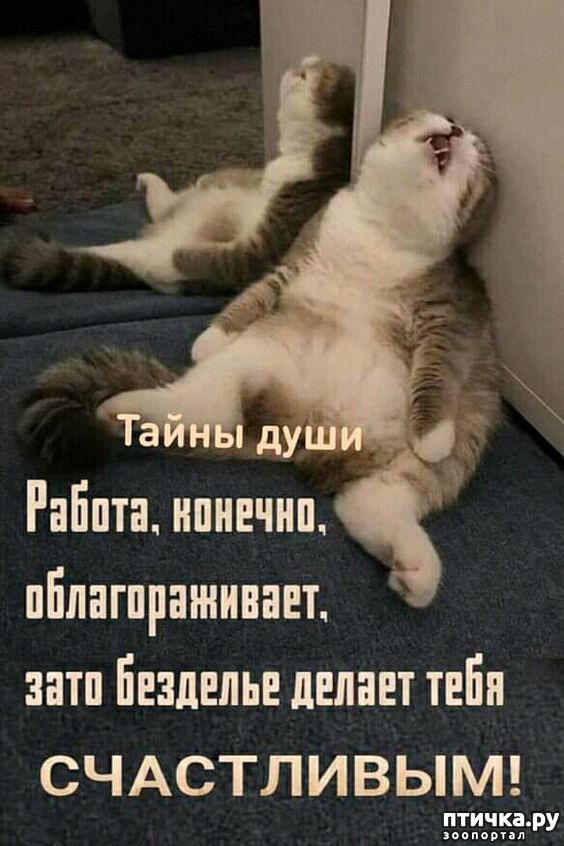  31: 