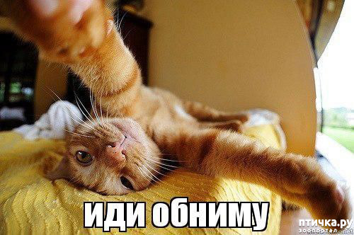  37: 