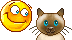 :    "" !?