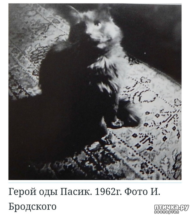  7:    -  